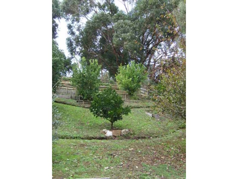 2200 Meeniyan Prom Rd, Fish Creek VIC 3959