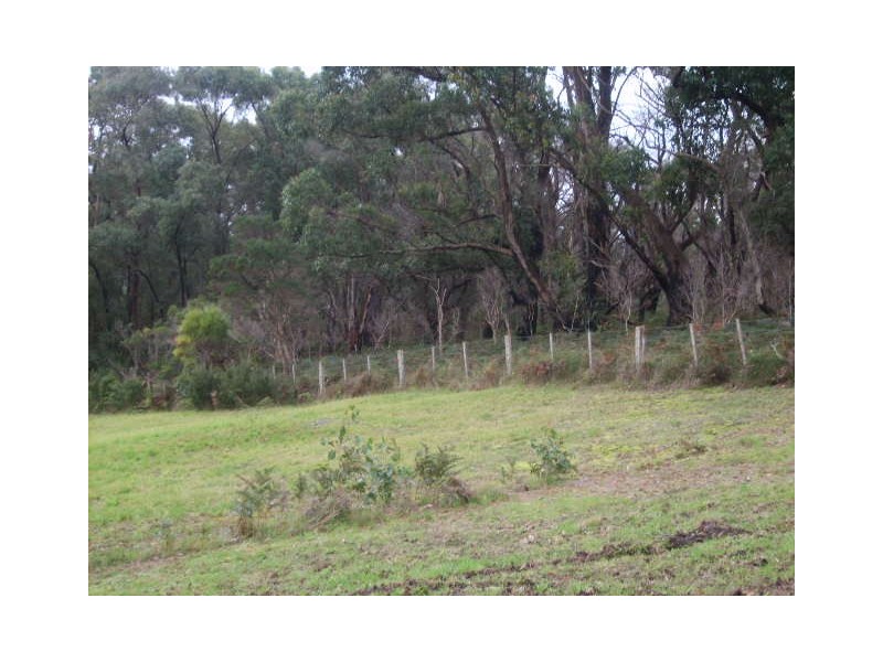 10 Forest Rise, Foster VIC 3960