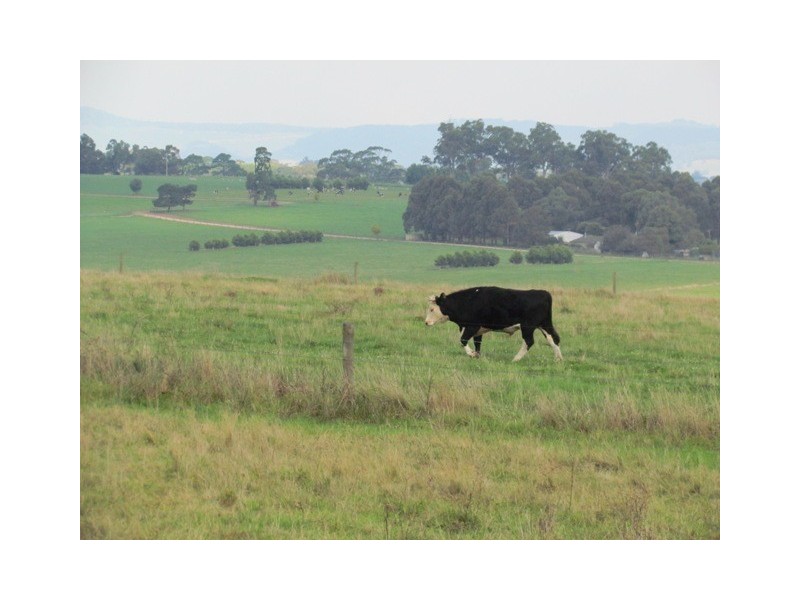 315 Gardner and Holman Road, Drouin VIC 3818