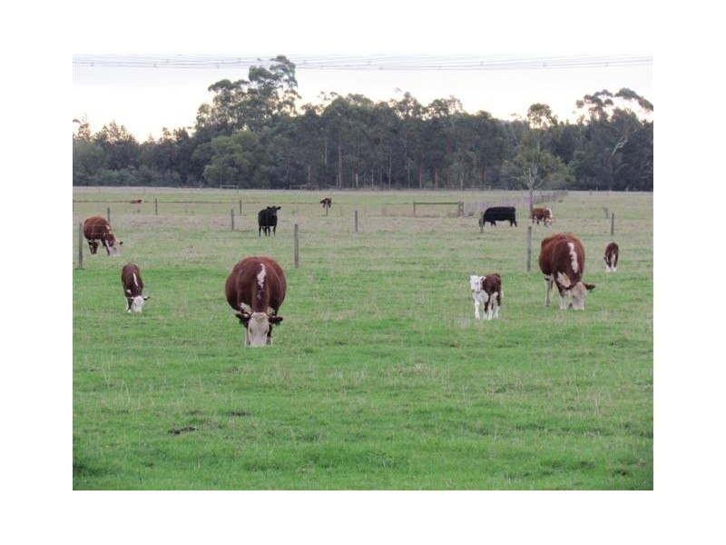 101 Factory Road, Yarragon VIC 3823