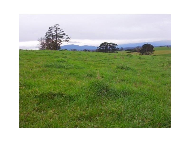 930 Neerim East Road, Neerim South VIC 3831