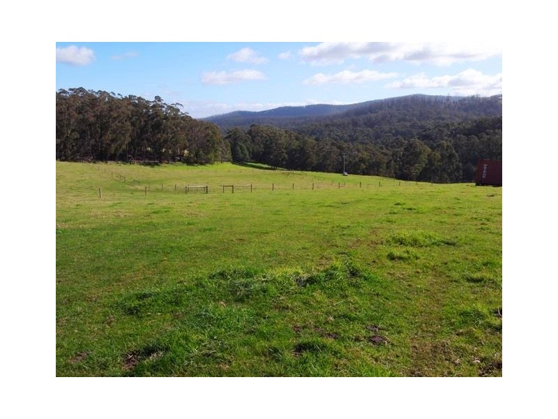 815 Jacksons Track, Jindivick VIC 3818
