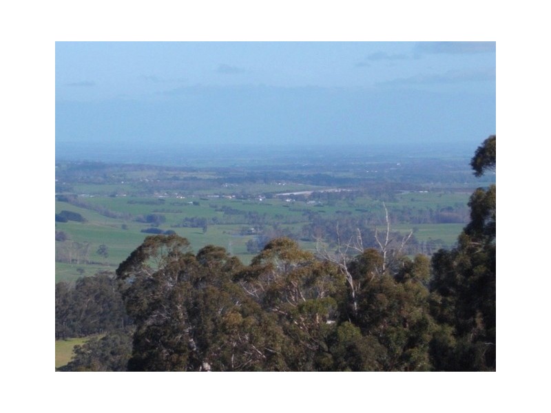 815 Jacksons Track, Jindivick VIC 3818