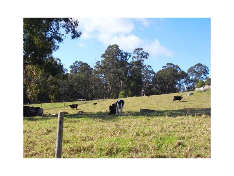 815 Jacksons Track, Jindivick VIC 3818