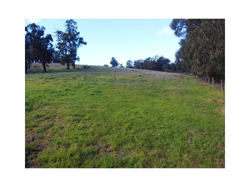 815 Jacksons Track, Jindivick VIC 3818