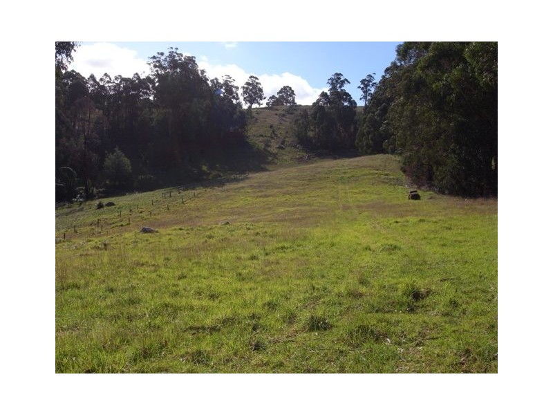 815 Jacksons Track, Jindivick VIC 3818