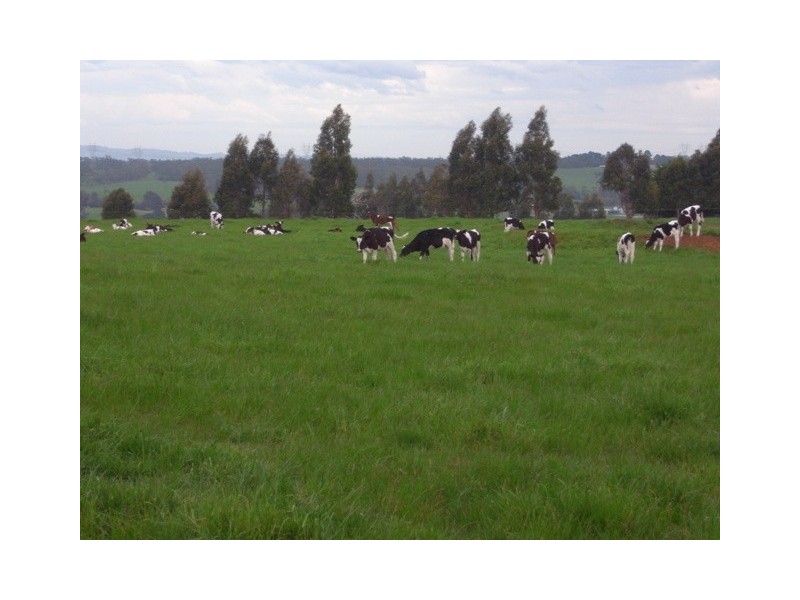 175 River Connection Road, Willow Grove VIC 3825