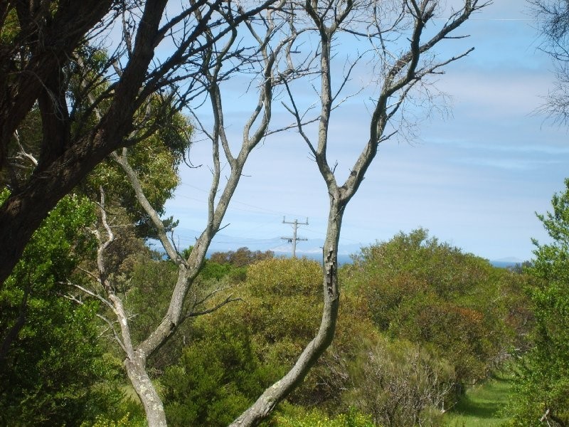 6 Bayside Drive, Walkerville South VIC 3956