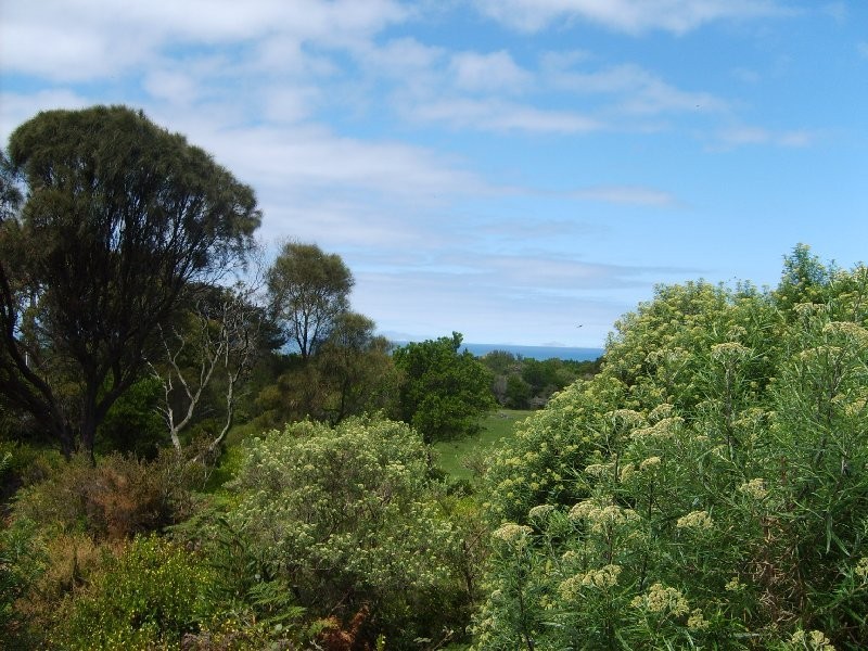 6 Bayside Drive, Walkerville South VIC 3956