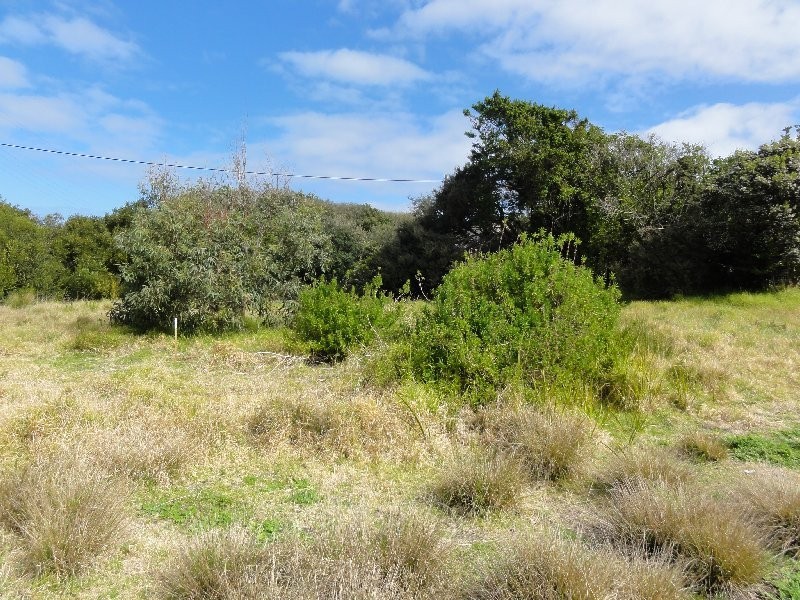 13 Ocean View, Sandy Point VIC 3959