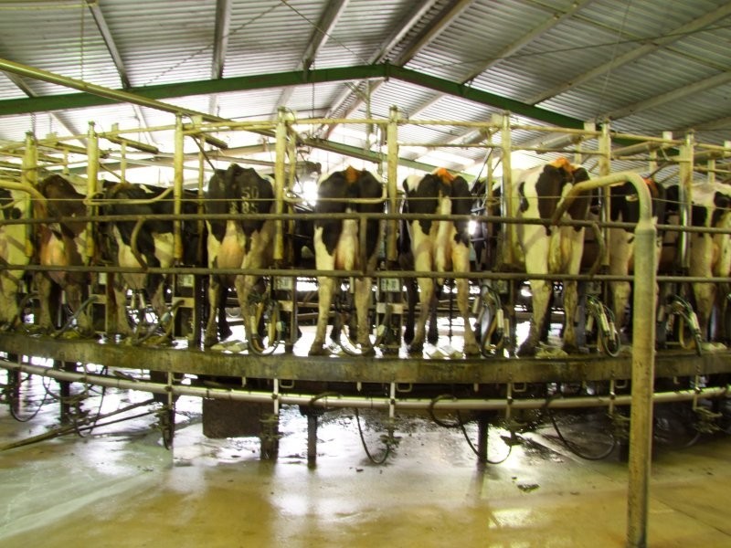. STEWARTS and DUNLOPS ROAD, Buffalo VIC 3958
