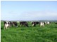 . STEWARTS and DUNLOPS ROAD, Buffalo VIC 3958