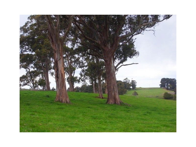 46 Allambee South Road, Thorpdale South VIC 3824