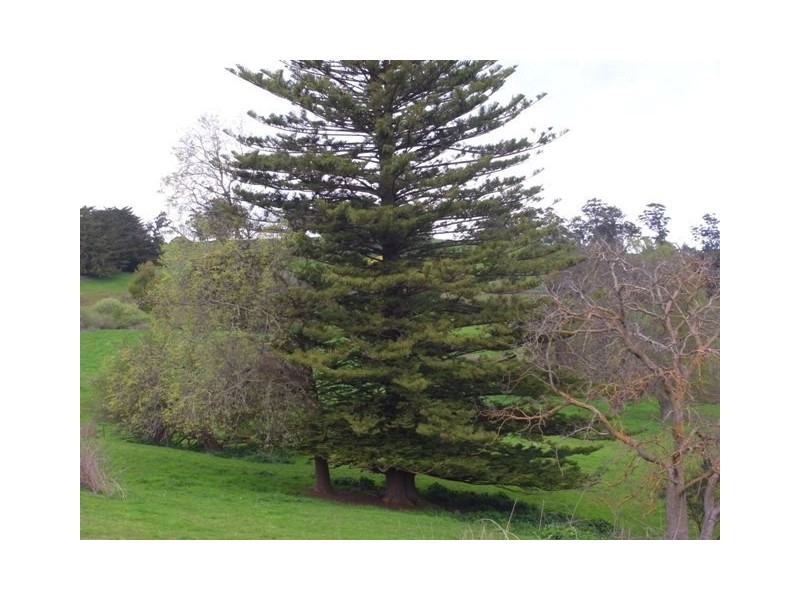 46 Allambee South Road, Thorpdale South VIC 3824