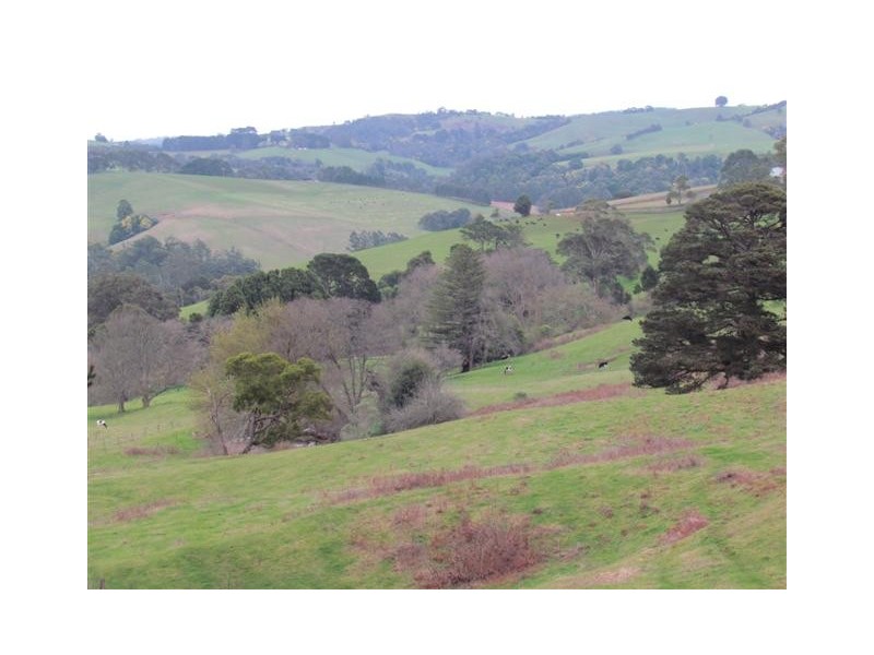 46 Allambee South Road, Thorpdale South VIC 3824