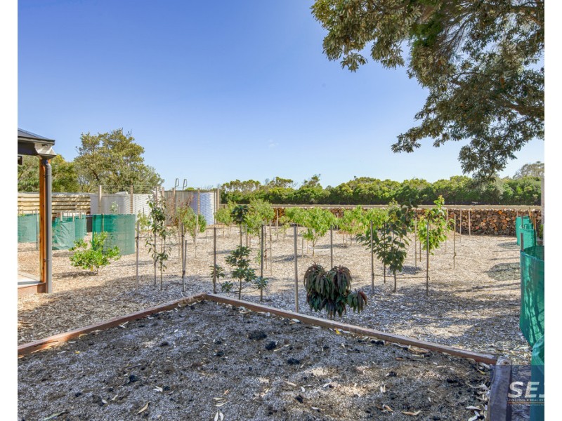 13 Ash Ave, Sandy Point VIC 3959