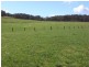 258 Becks Bridge Road, Tanjil South VIC 3825
