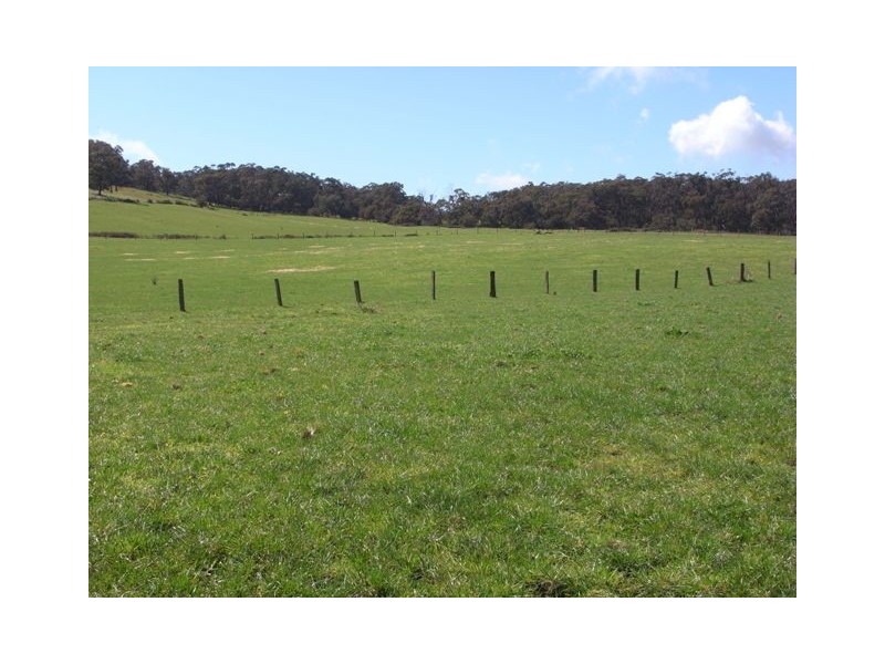 258 Becks Bridge Road, Tanjil South VIC 3825