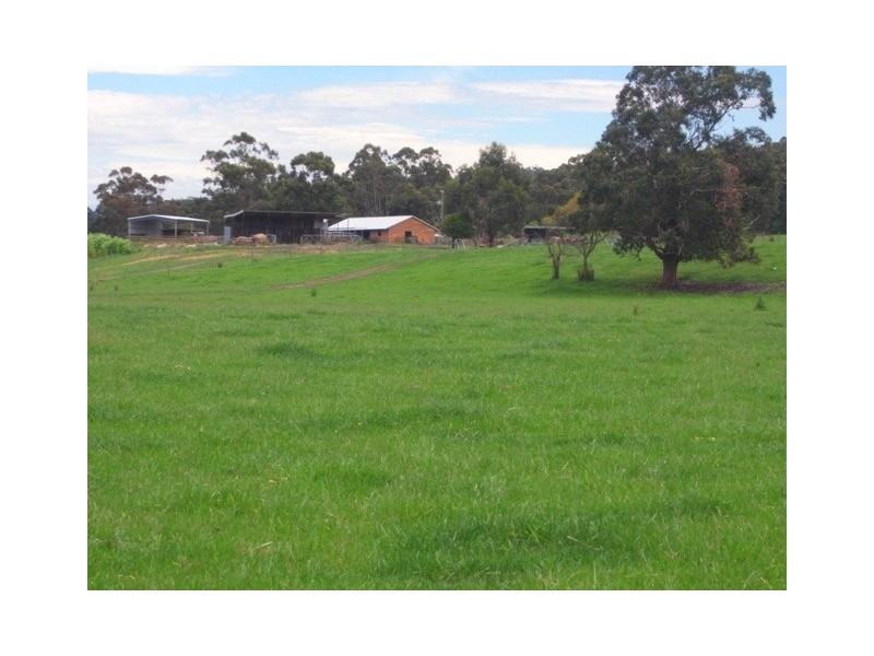 258 Becks Bridge Road, Tanjil South VIC 3825