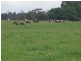 258 Becks Bridge Road, Tanjil South VIC 3825