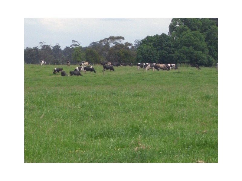 258 Becks Bridge Road, Tanjil South VIC 3825