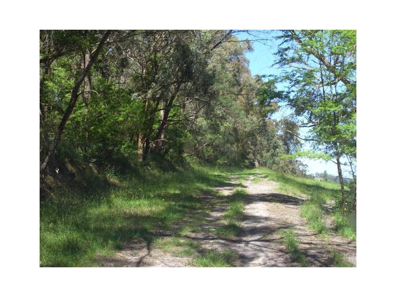 258 Becks Bridge Road, Tanjil South VIC 3825