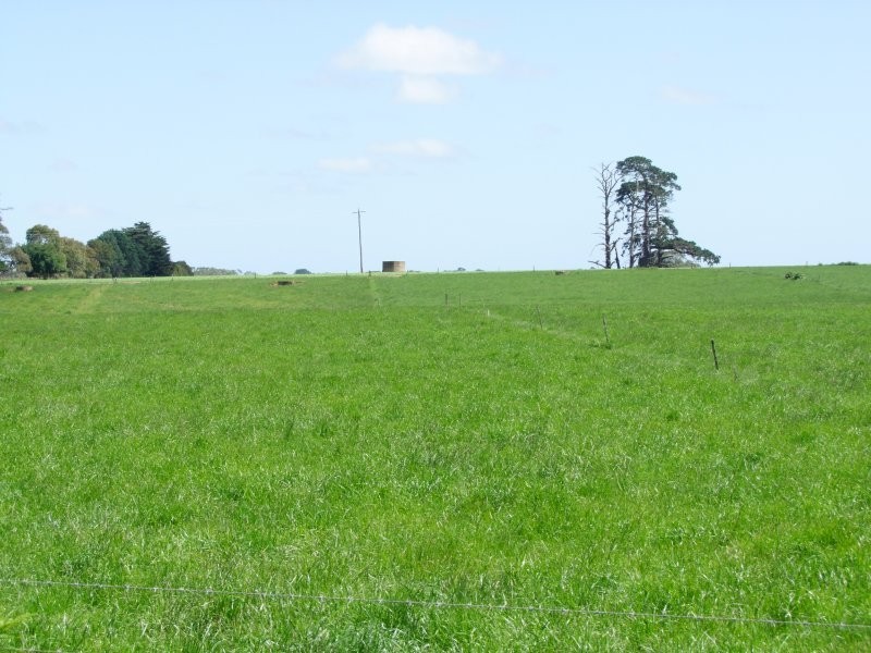 225 Whitelaws Track, Leongatha South VIC 3953