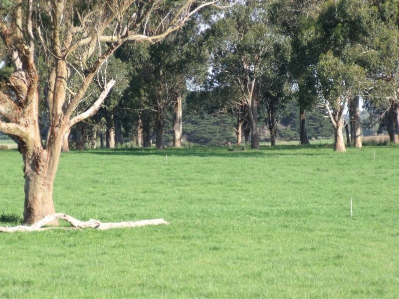 225 Whitelaws Track, Leongatha South VIC 3953