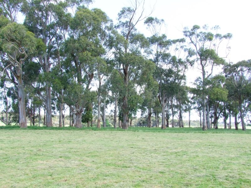 225 Whitelaws Track, Leongatha South VIC 3953