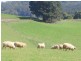 49 Childers Connection Road and 64 Vincent Street, Childers VIC 3824