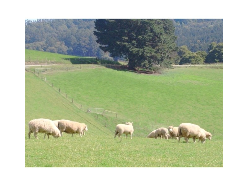 49 Childers Connection Road and 64 Vincent Street, Childers VIC 3824