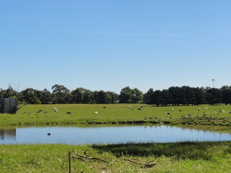 445 Lower Toora Rd, Foster VIC 3960