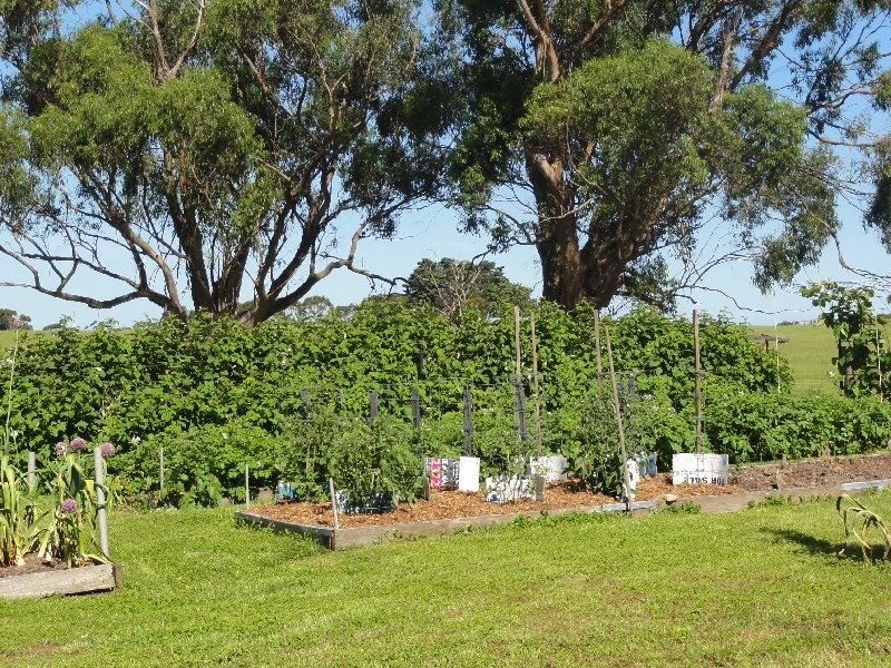 445 Lower Toora Rd, Foster VIC 3960