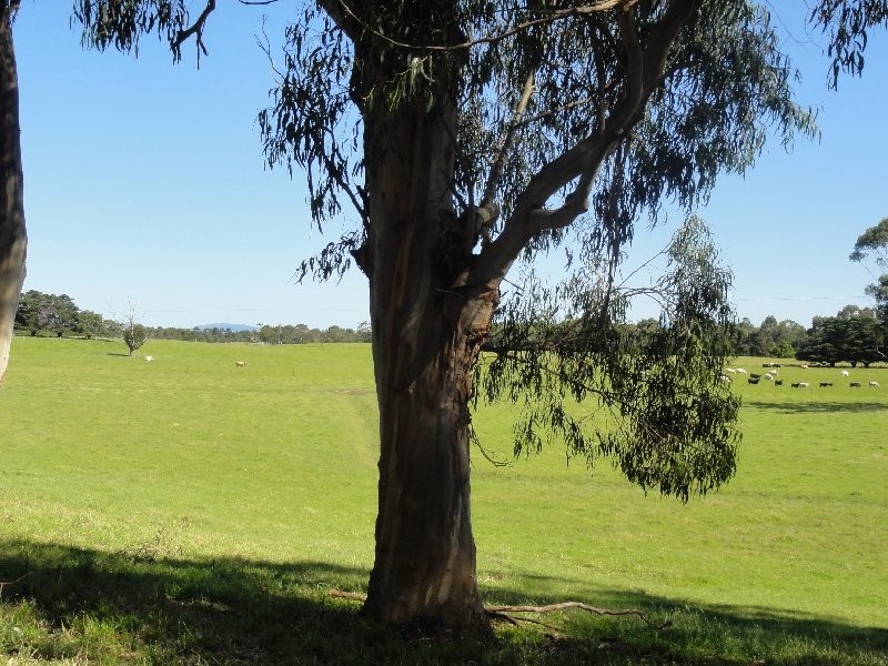 445 Lower Toora Rd, Foster VIC 3960