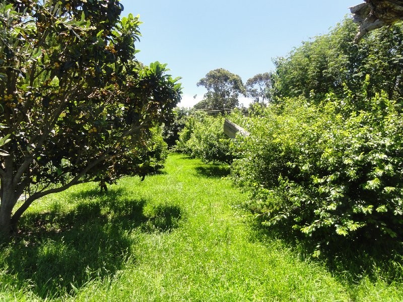13 Grip Rd, Toora VIC 3962