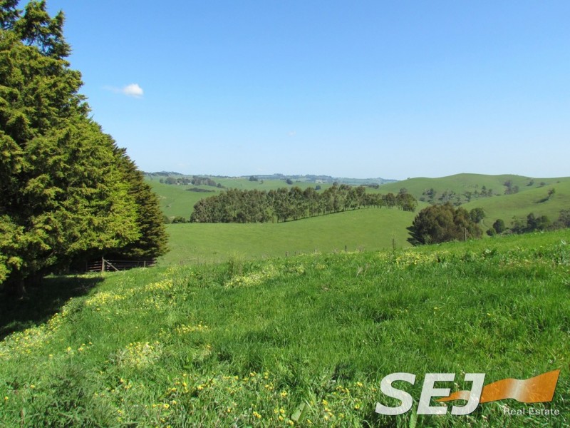 269 Mountain View-McDonalds Track, Mountain View VIC 3988