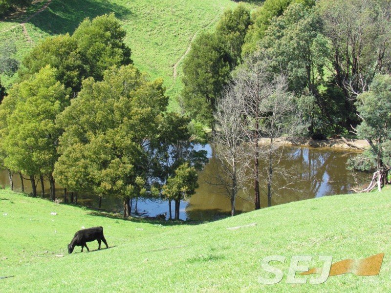 269 Mountain View-McDonalds Track, Mountain View VIC 3988