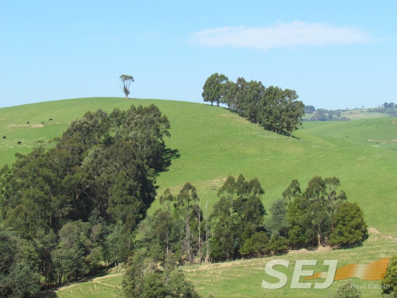 269 Mountain View-McDonalds Track, Mountain View VIC 3988