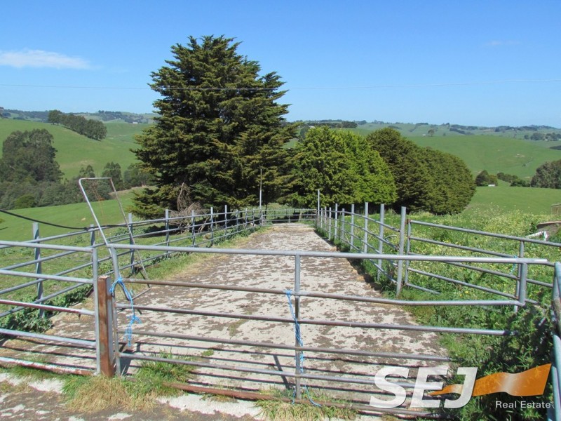 269 Mountain View-McDonalds Track, Mountain View VIC 3988