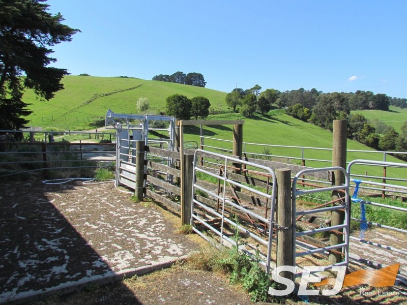 269 Mountain View-McDonalds Track, Mountain View VIC 3988