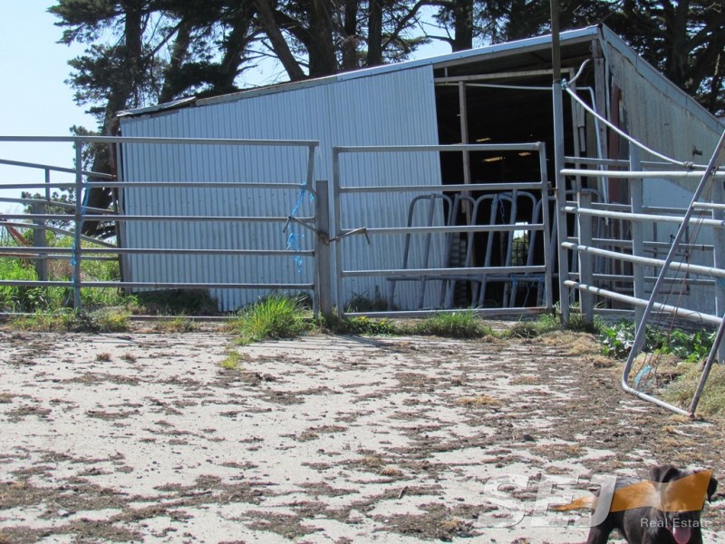 269 Mountain View-McDonalds Track, Mountain View VIC 3988