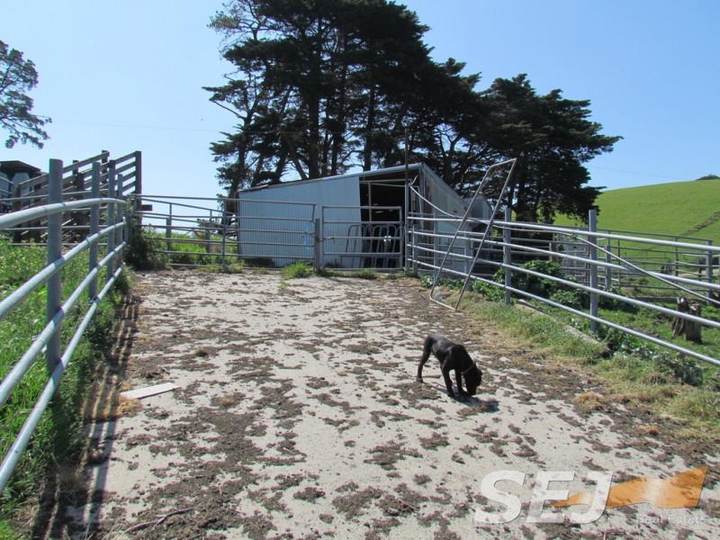 269 Mountain View-McDonalds Track, Mountain View VIC 3988