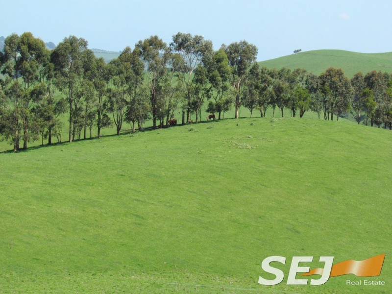 269 Mountain View-McDonalds Track, Mountain View VIC 3988