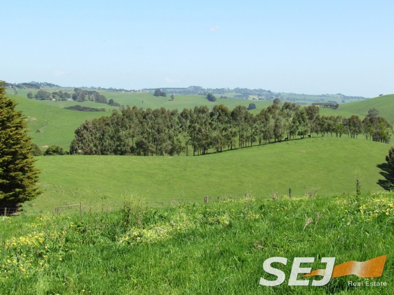 269 Mountain View-McDonalds Track, Mountain View VIC 3988