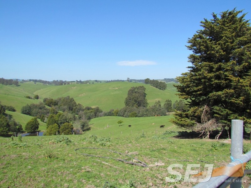 269 Mountain View-McDonalds Track, Mountain View VIC 3988