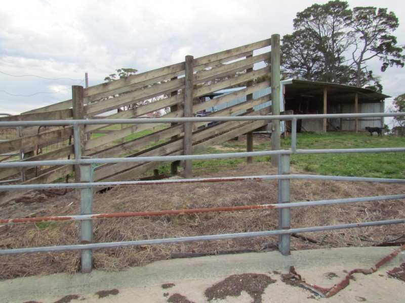 269 Mountain View-McDonalds Track, Mountain View VIC 3988