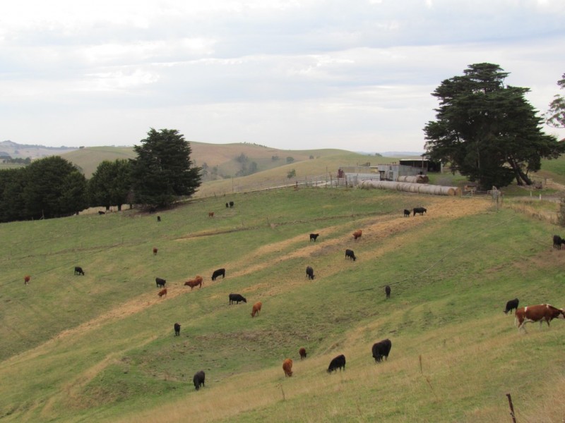 269 Mountain View-McDonalds Track, Mountain View VIC 3988