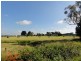 50 Lower Rd, Foster VIC 3960