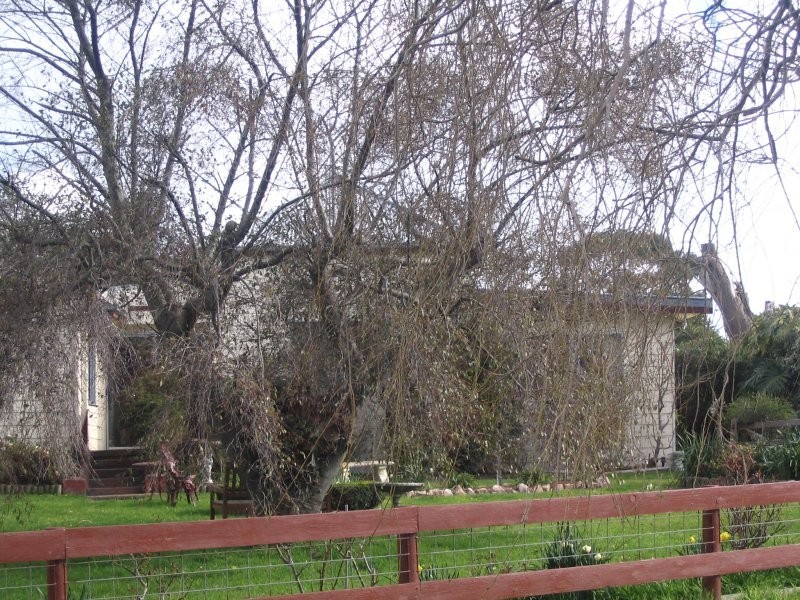 50 Lower Rd, Foster VIC 3960