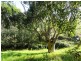 260 Creamery Valley Rd, Toora VIC 3962